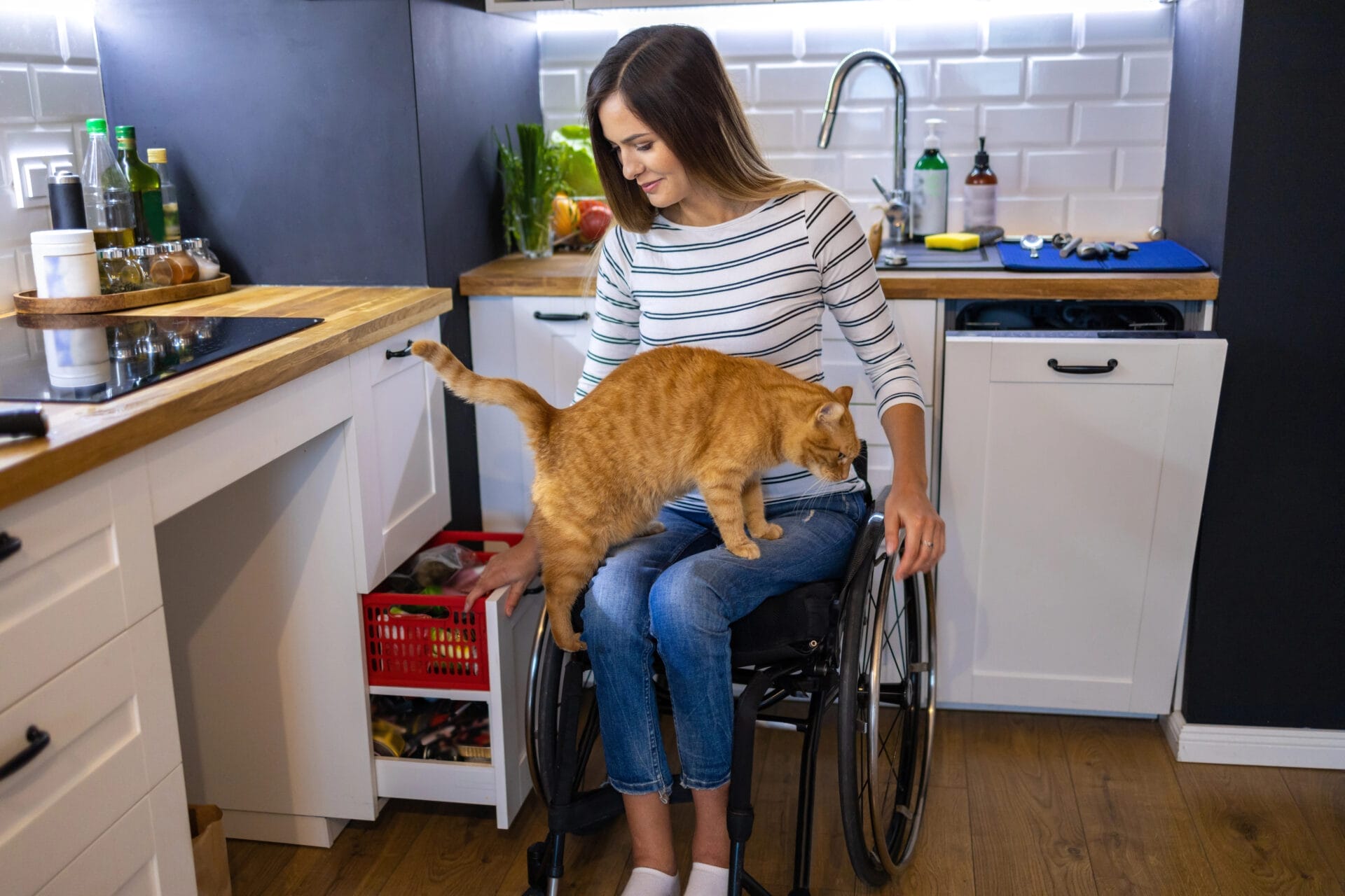 A woman in a wheelchair sits in a modern kitchen, smiling as an orange cat climbs onto her lap. She is wearing a striped shirt and jeans, and the kitchen has white cupboards and a wooden worktop.